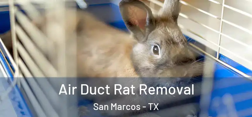  Air Duct Rat Removal San Marcos - TX