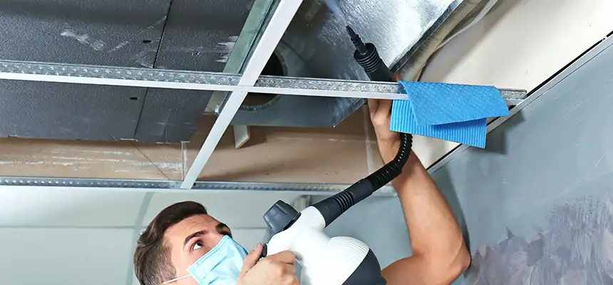 Our Air Duct Rodent Removal Services in San Marcos, TX