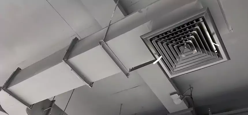 Restorative Allergy Relief Vent Cleaning – Coil, Blower & Housing Detail in San Marcos