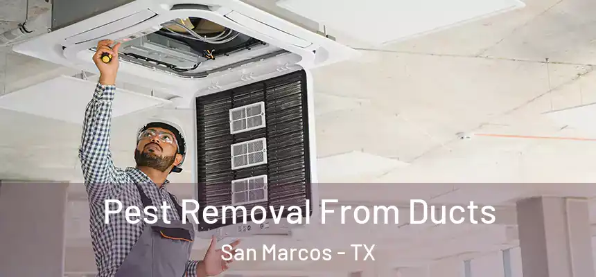  Pest Removal From Ducts San Marcos - TX