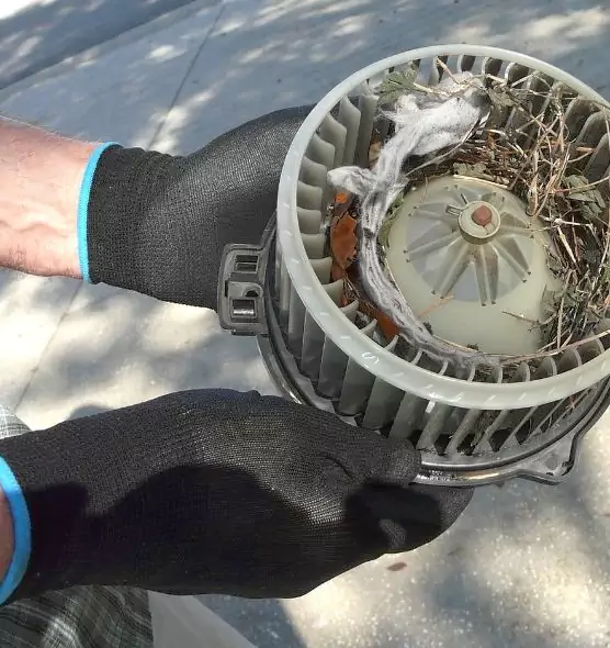 About Air Duct Mice Removal in San Marcos, TX