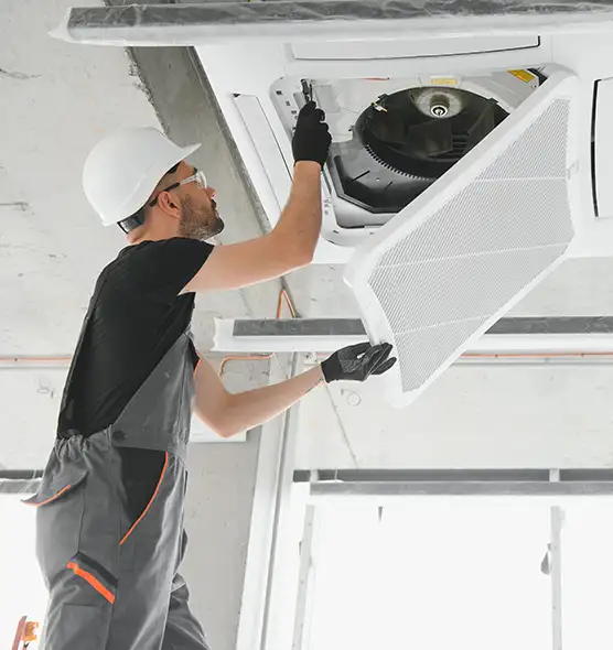 About Air Duct Rodent Removal in San Marcos, TX