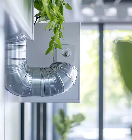 Professional Eco-Friendly Duct Cleaning Services in San Marcos, TX