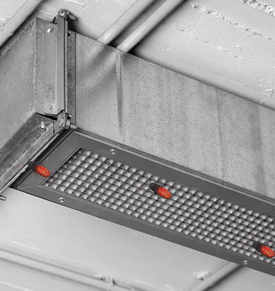 Affordable Insect Removal from Air Ducts in San Marcos, TX