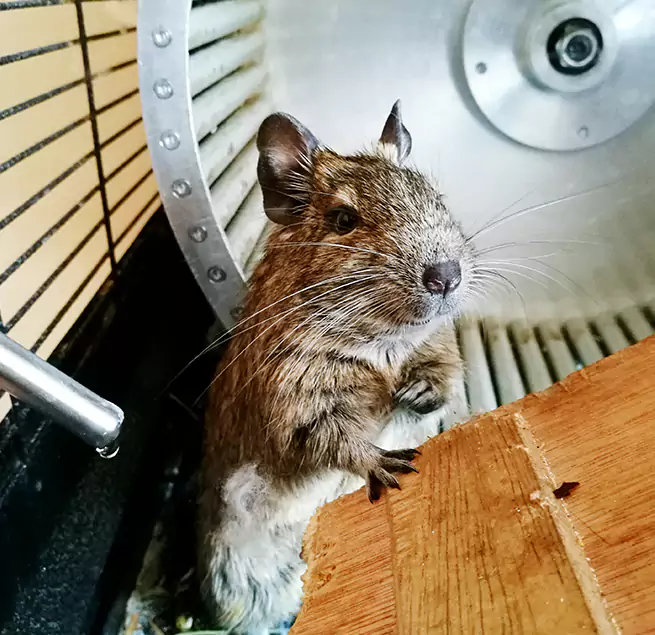 Why Homeowners & Businesses Trust Us San Marcos, TX