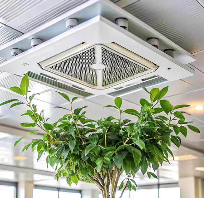 Why Homeowners & Businesses Trust Us in San Marcos, TX